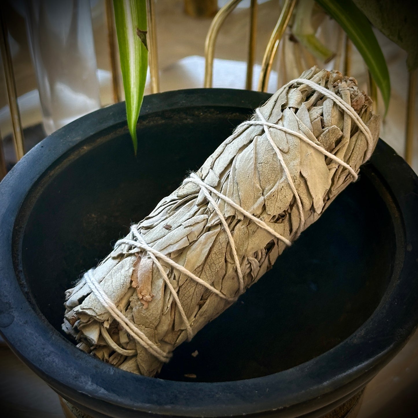 White Sage Smudge Stick