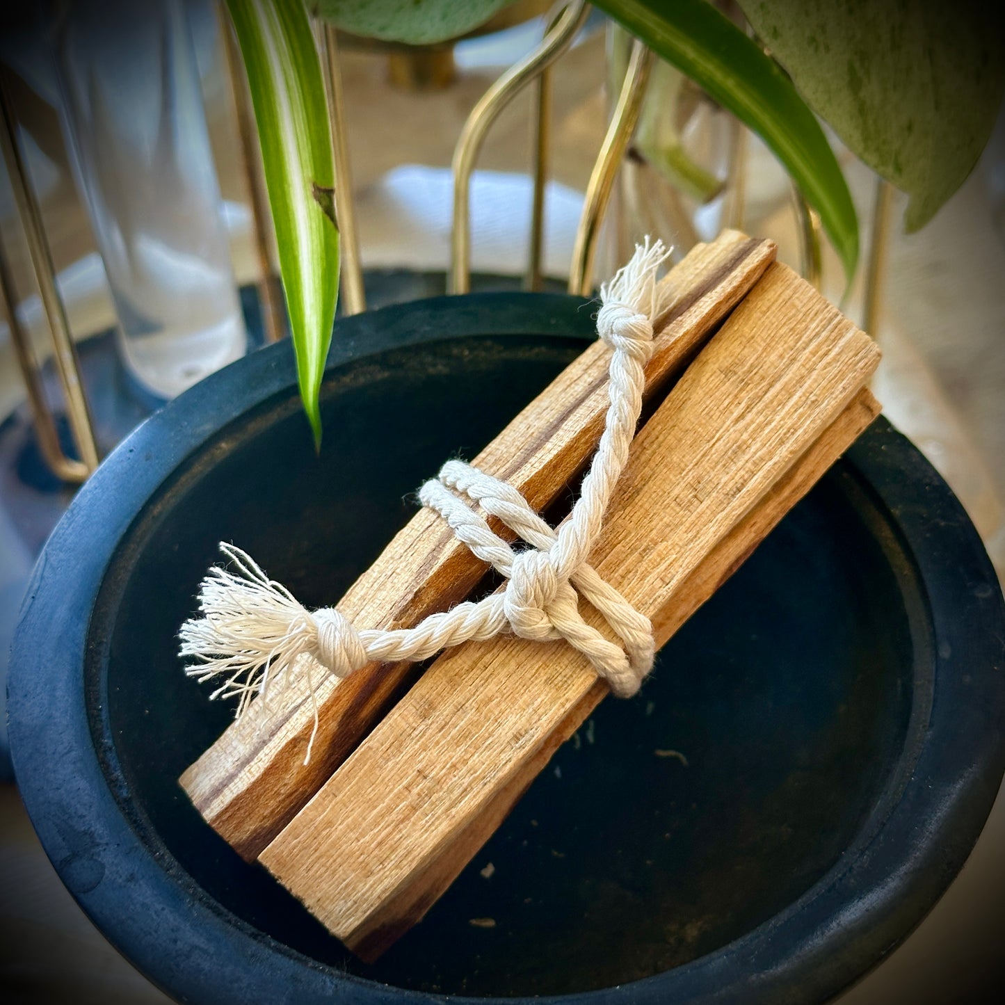 Palo Santo Sticks